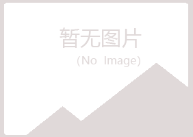 日照岚山代云化学有限公司